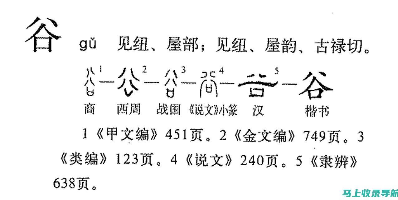 全方位解读谷歌SEO职位：工作内容与职业发展路径